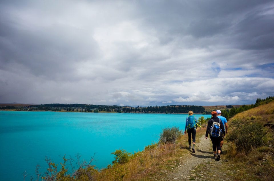 How to Choose the Best Private Tours for Your NZ Trip