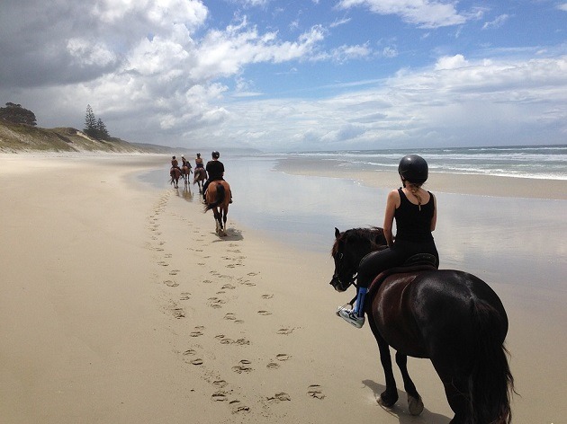 New Zealand beach horse riding