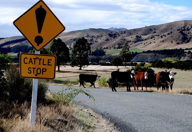 New Zealand road signs