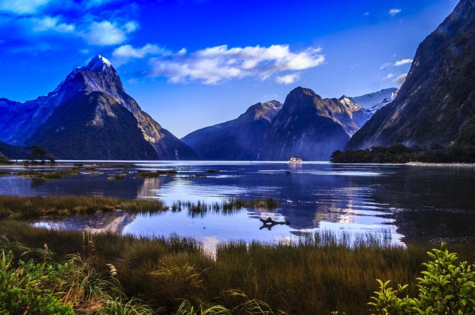 Top Must-Know Tips for New Zealand Tourists from the US