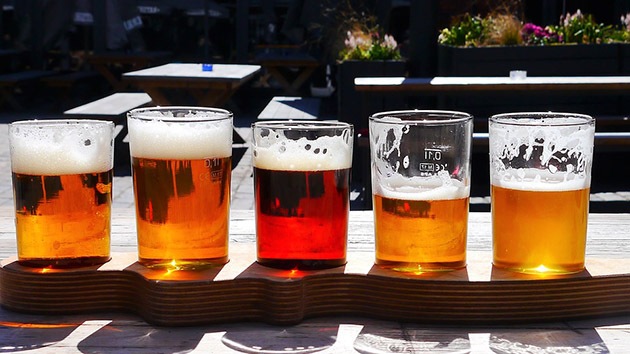 Discover Little-Known Craft Beers on a Brewery Tour of New Zealand