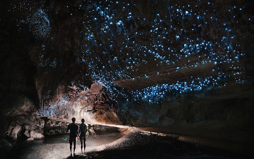 Under a glow worm sky - couple shining a light into Waipu cave f