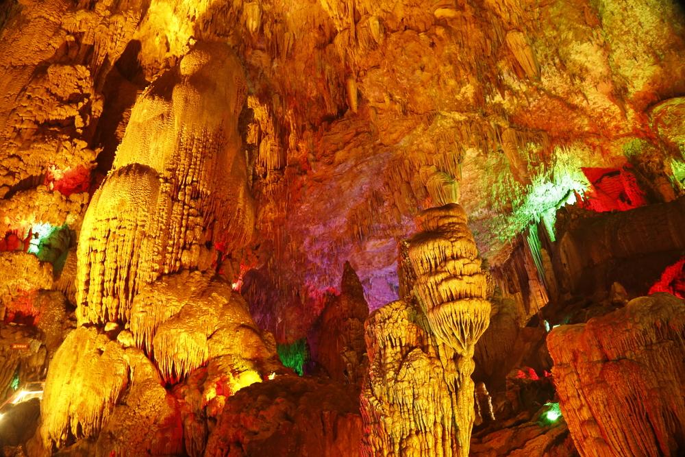 Waitomo Glowwom Caves