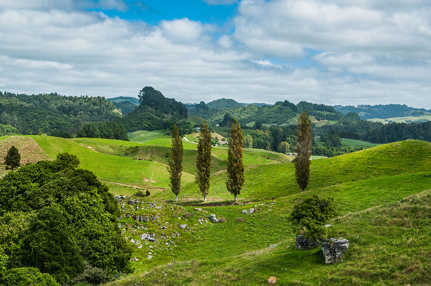 Waitomo Valley is a location of famous Waitomo Caves, where visitors can see miriads of glow worms. But first visitors have to drvie through picturesque landscapes of Waikato, New Zealand.