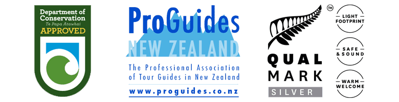 New Zealand Tourism Endorsements