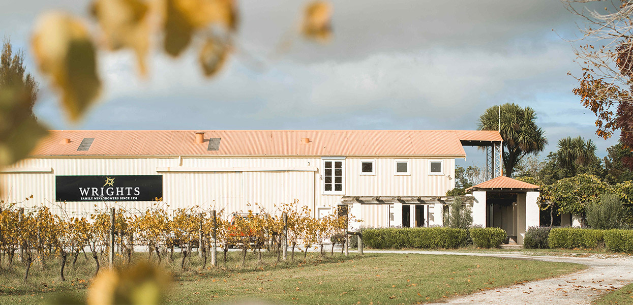 Discover the Local Viticulture