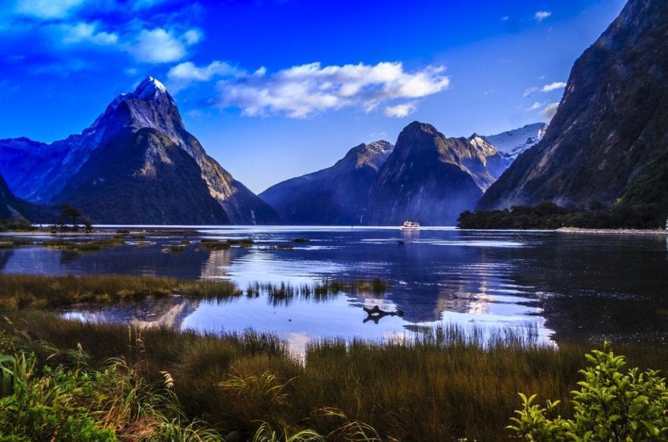 New Zealand landscape nature