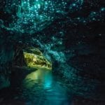 Waitomo Glow-Worm Cave