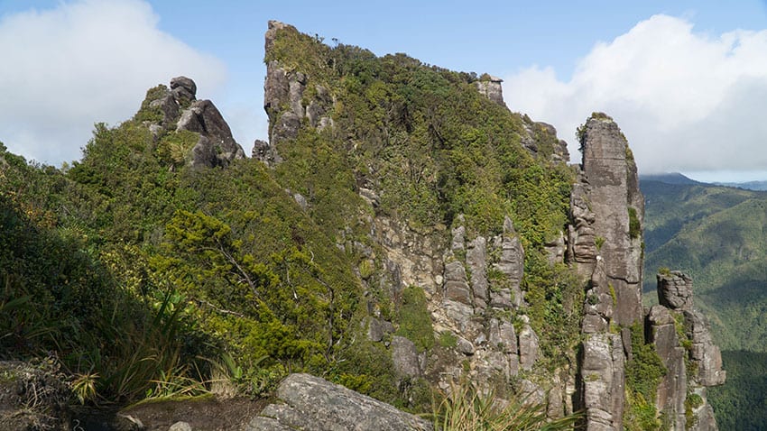 14km long Pinnacles walk with spectacular views, Coromandel Peni