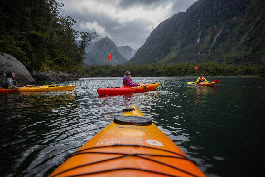 Milford Sound kayaking