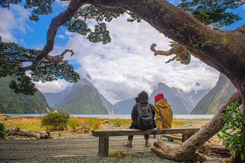 the scenery view of landscape of Milford Sound, the most popular and famous place for tourist and traveling in South New Zealand