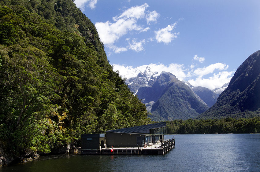 It's New Zealand's only floating underwater observatory,descend 10 metres underwater, show the unique underwater life of Milford Sound