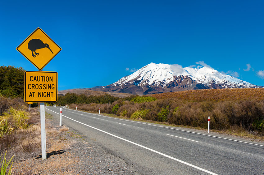 Kiwi sign near the road leading to the volcano Mt. Ruapehu, national park Tongariro. New Zealand.
