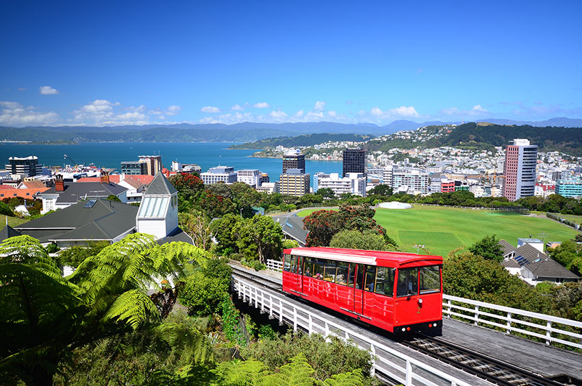 Wellington cable car city view