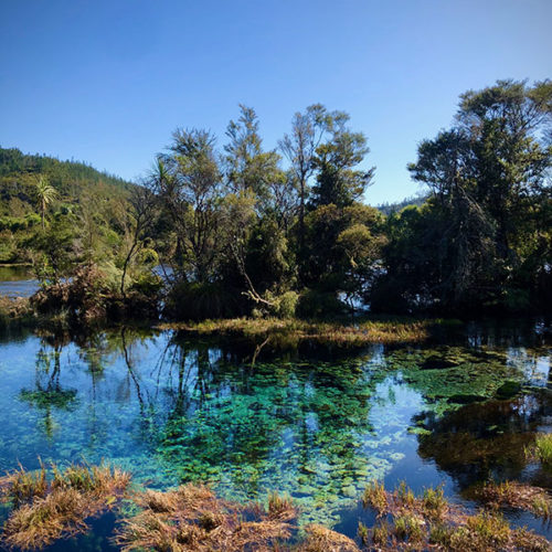 Te Waikoropupu Springs, Tasman Region