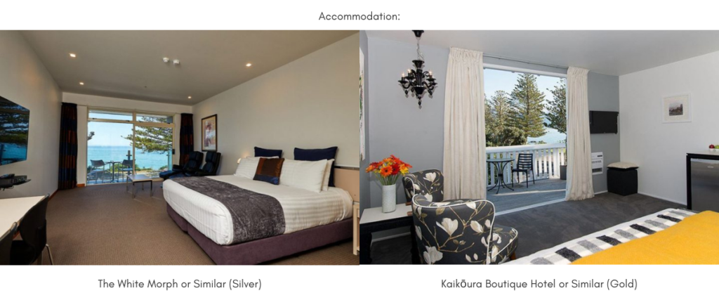 Accommodation at The White Morph or Kaikōura Boutique Hotel