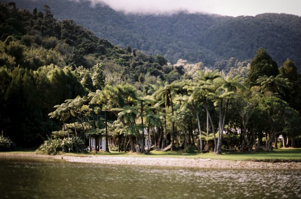 The Tranquility of Queen Charlotte Sound