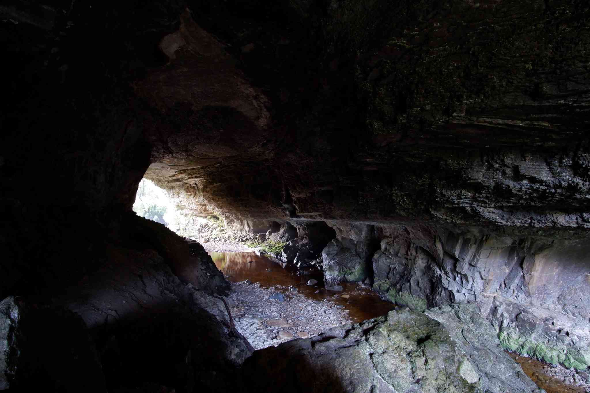 Oparara Basin Arches in New Zealand