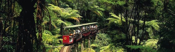 Driving Creek Railway