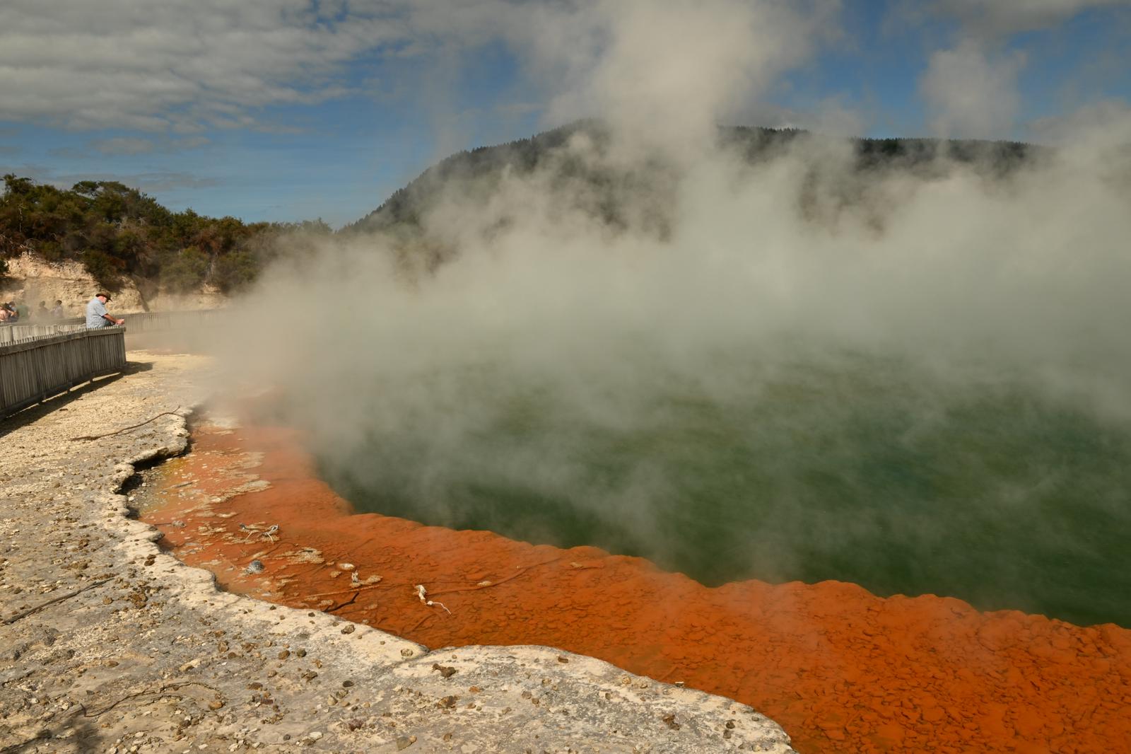5-Day North Island New Zealand Highlights Tour