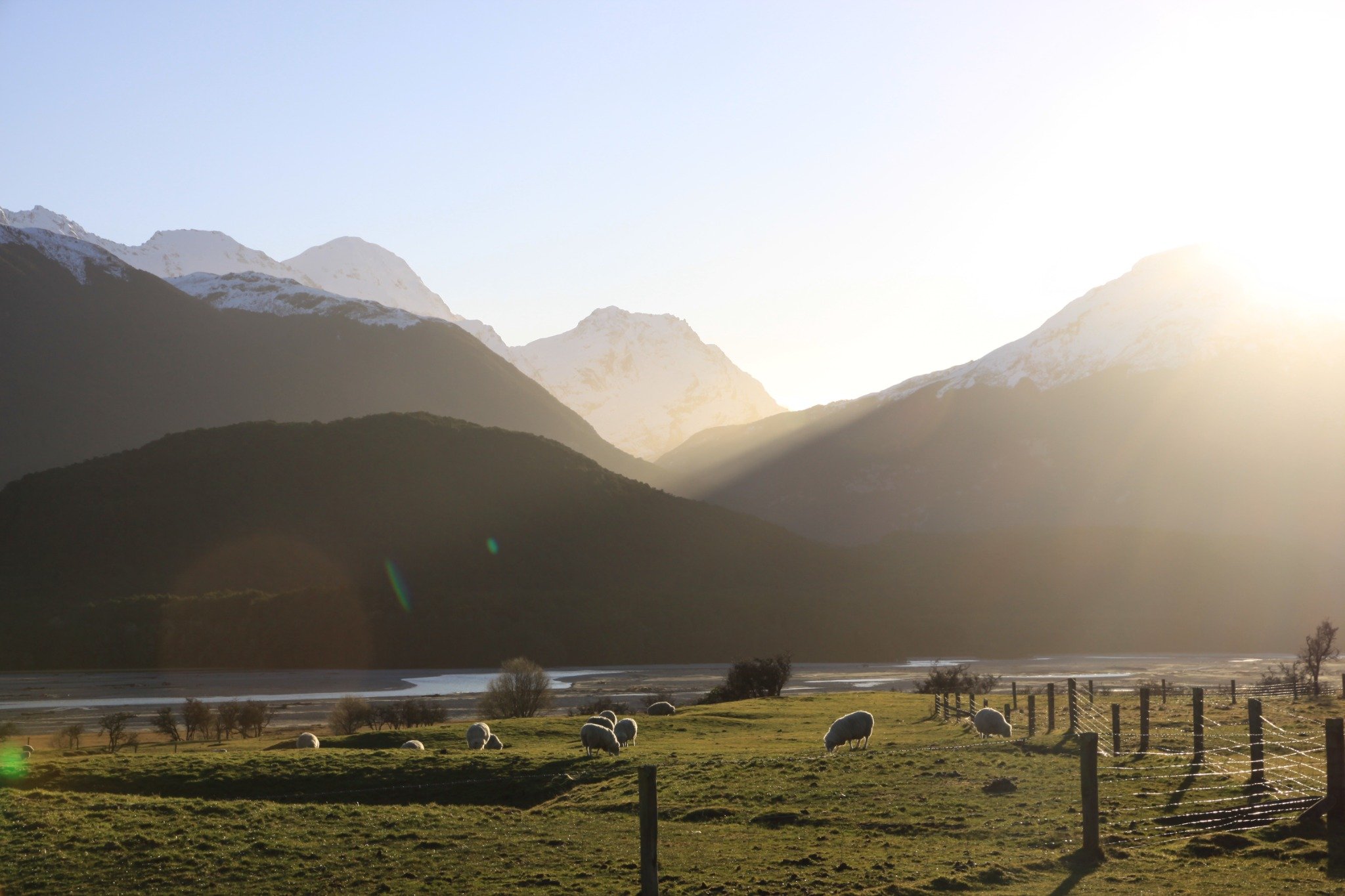 Vineyards in Glenorchy at sunset