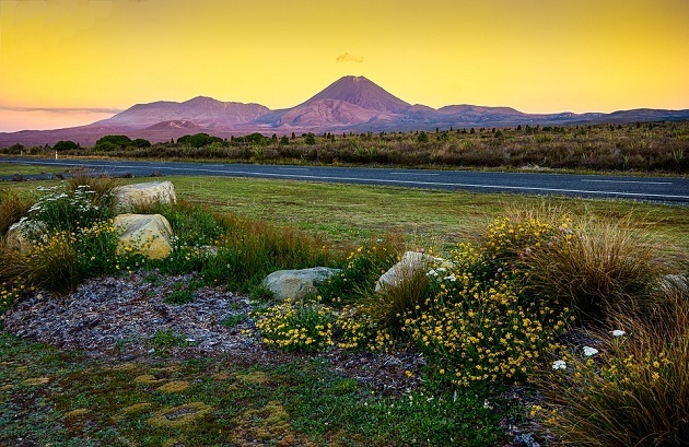 8-Day Classic North Island Lord of the Rings Tour