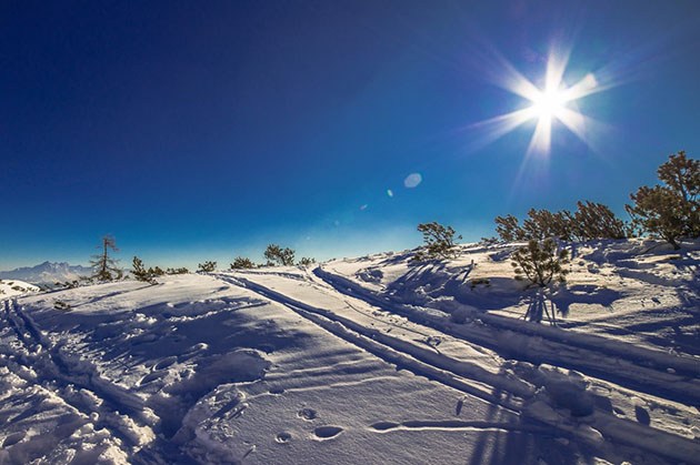 New Zealand snowy magic