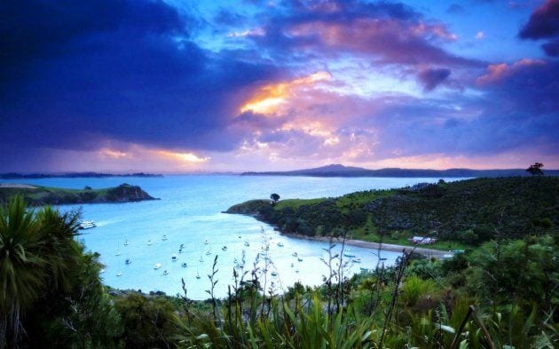 Waiheke Island New Zealand