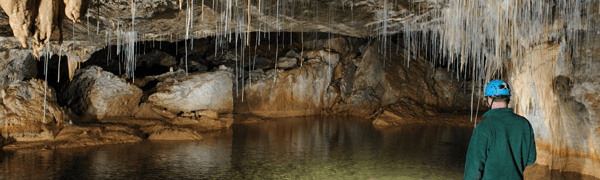 Inside the Waitomo Caves.