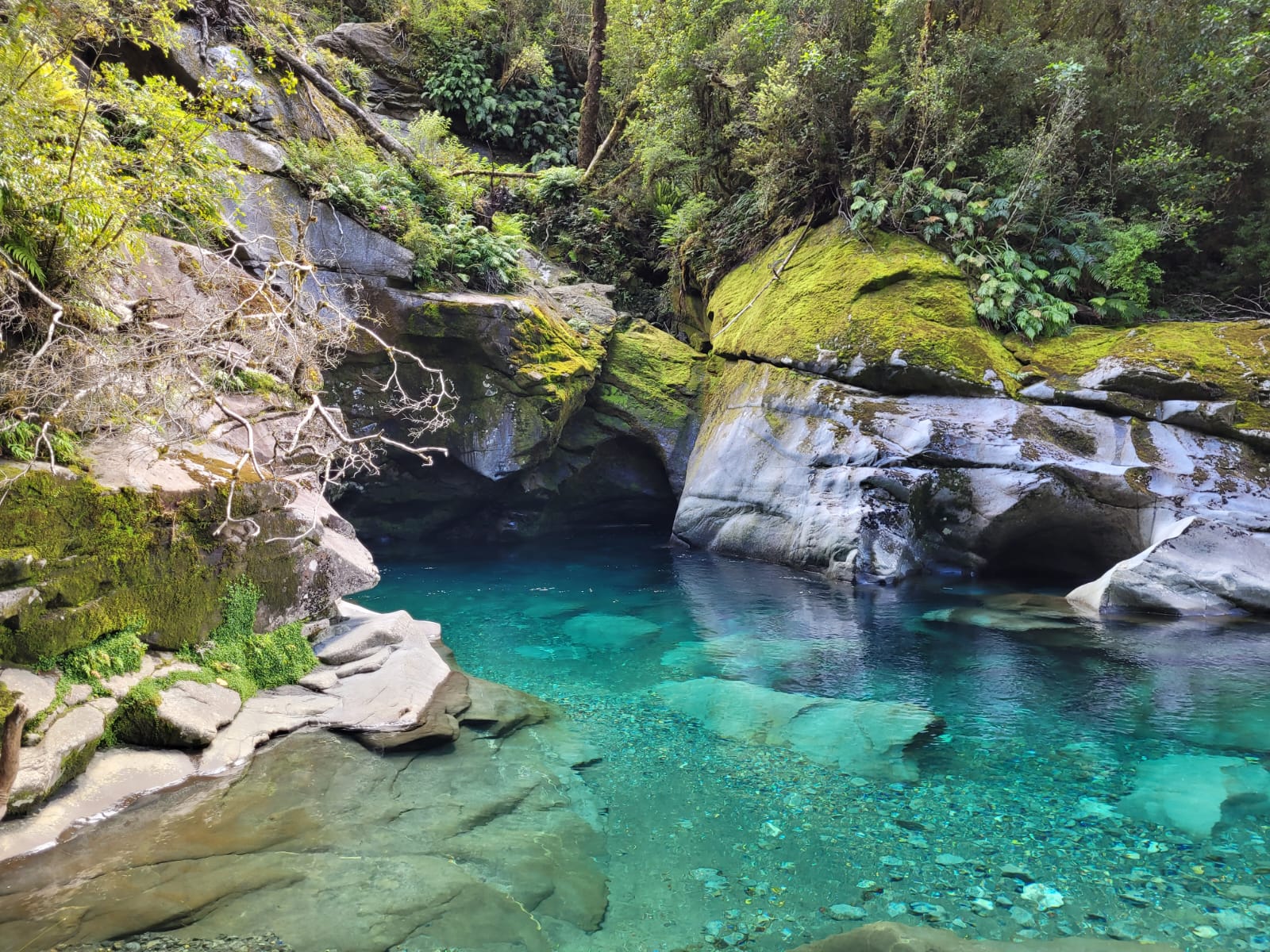 Deep Blue of Fiordland National Park