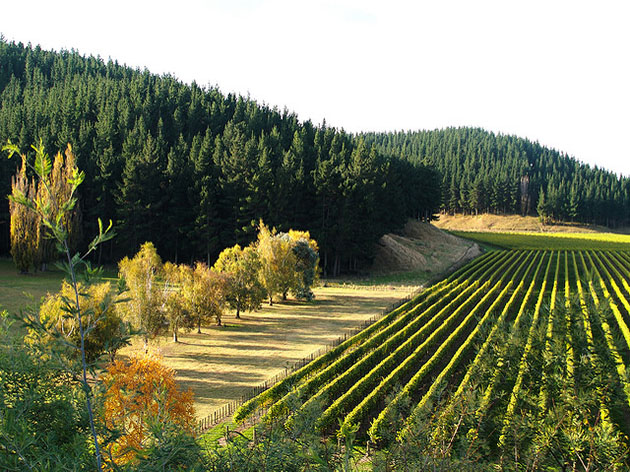 Mission Winery, Napier, New Zealand