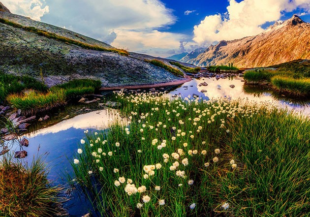 new zealand beautiful landscape