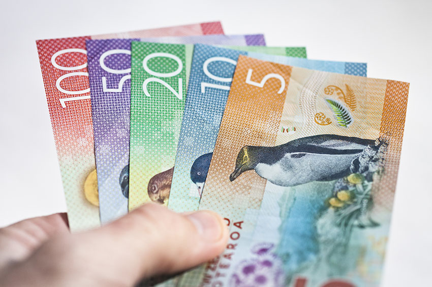 New Zealand currency held fanned out in someones hand