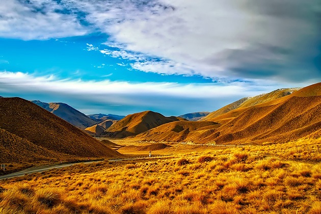 new zealand nature exploration
