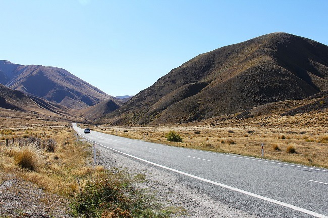 new zealand self driving
