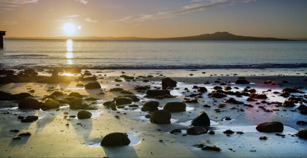 New Zealand spring break beach