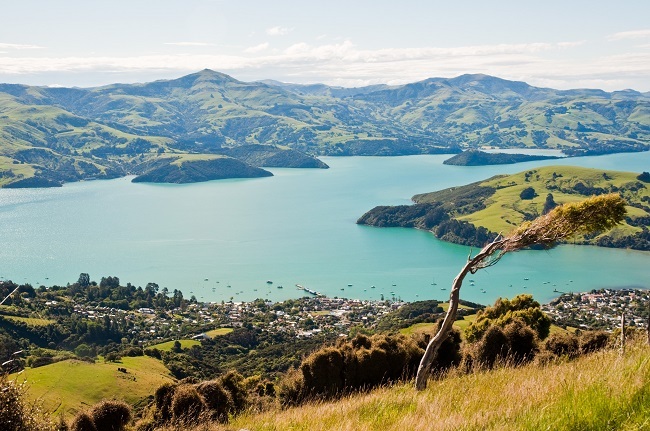 new zealand tour landscape