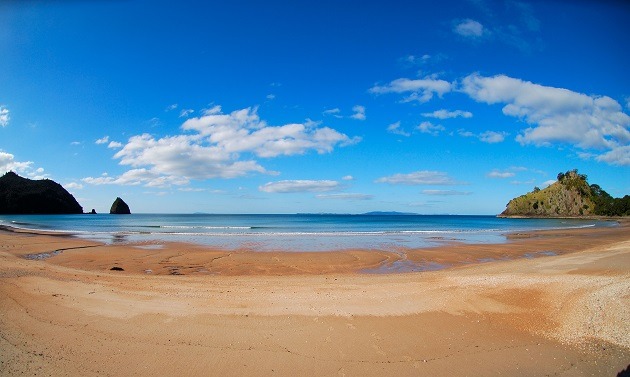 New Zealand Waikato beach