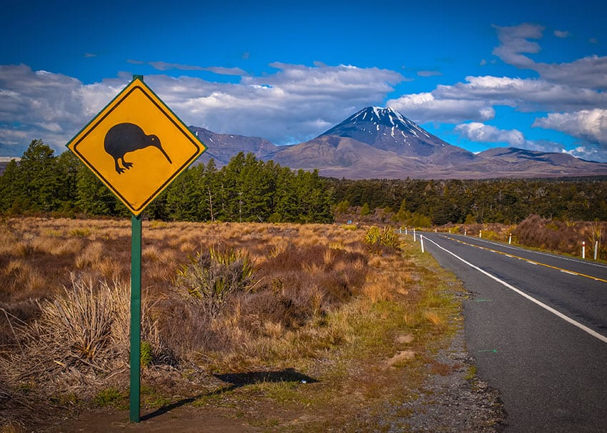 Kiwi warning sign with tongariro volcano in background, New Zealand