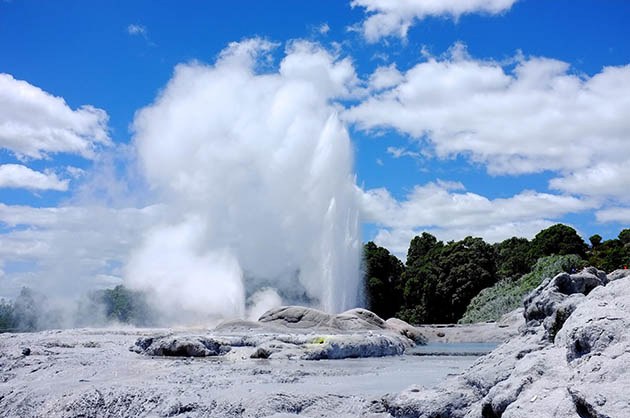 Rotorua geyser