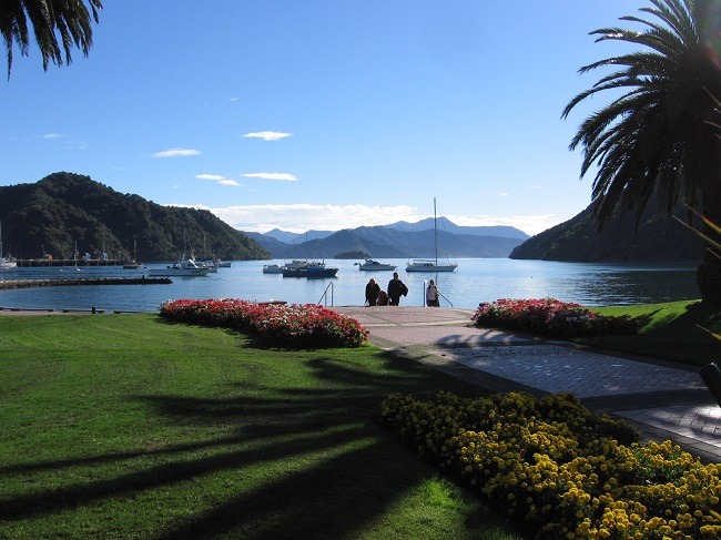 south island guided tour