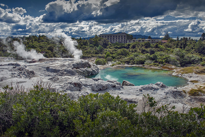 Whakarewarewa Geyser at Te Pui thermal park in geothermal valley of Rotorua, New Zealand