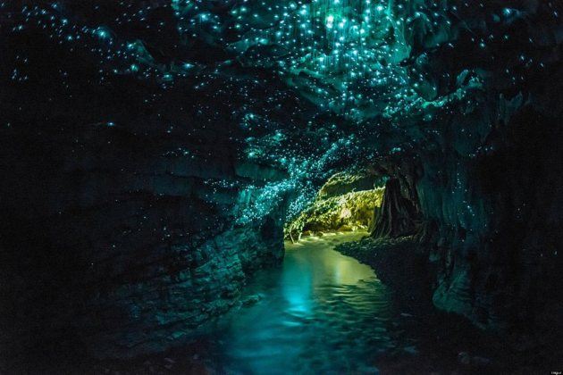 waitomo-glowworm-caves-1-Optimized