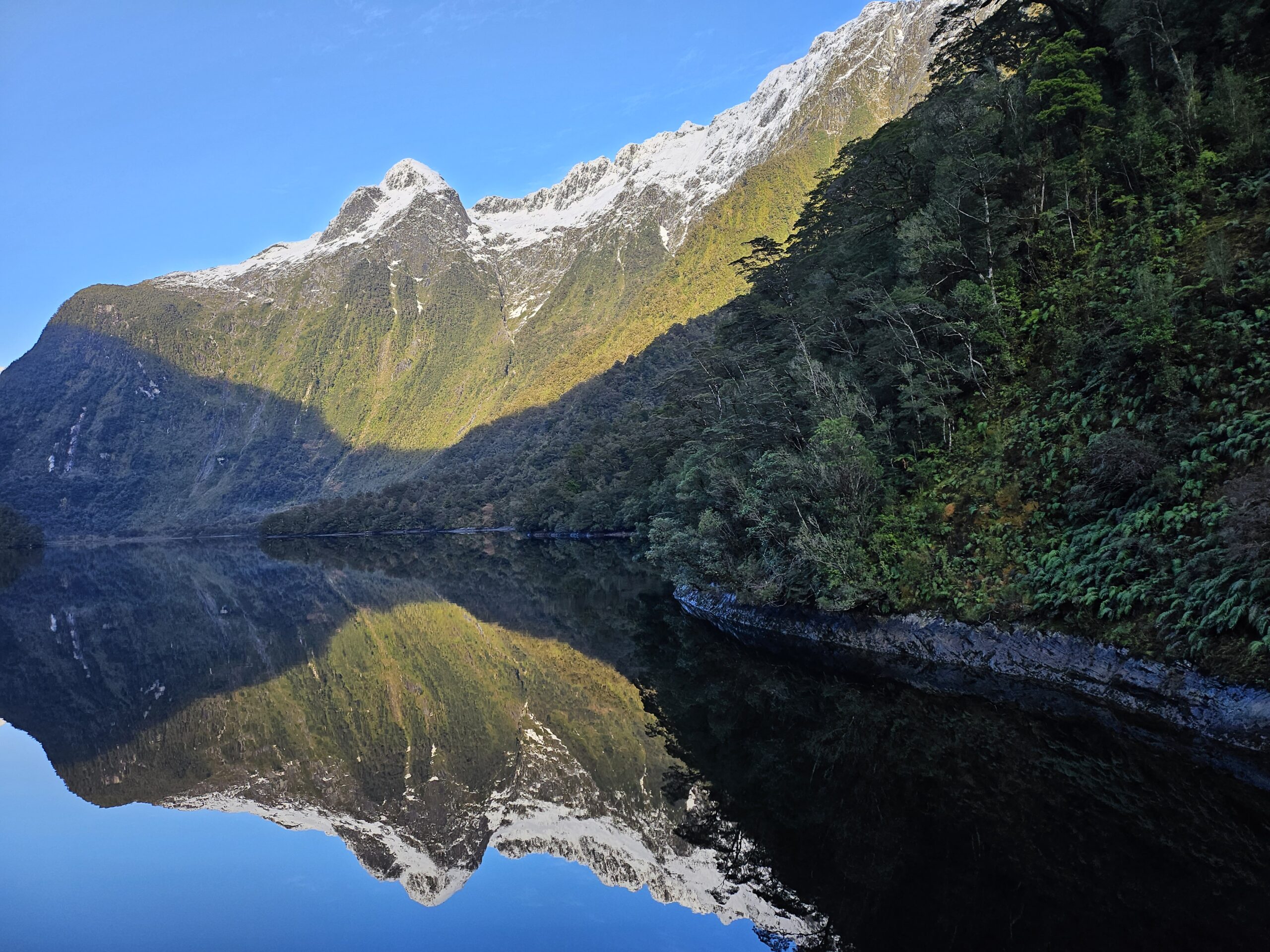 Doubtful Sound Cruise