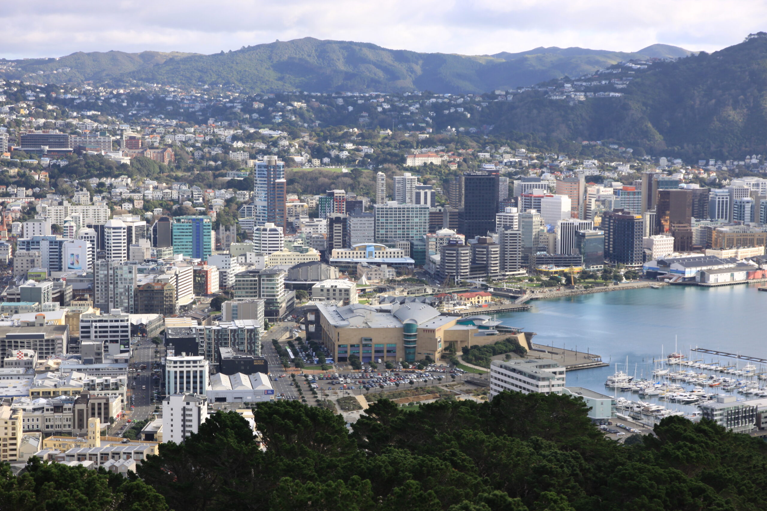 Wellington’s Te Papa Museum