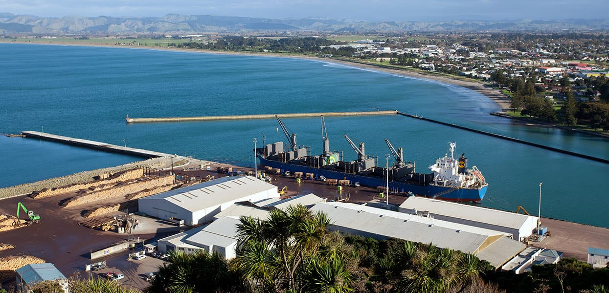 Discover New Zealand History on a Gisborne Historical Walk
