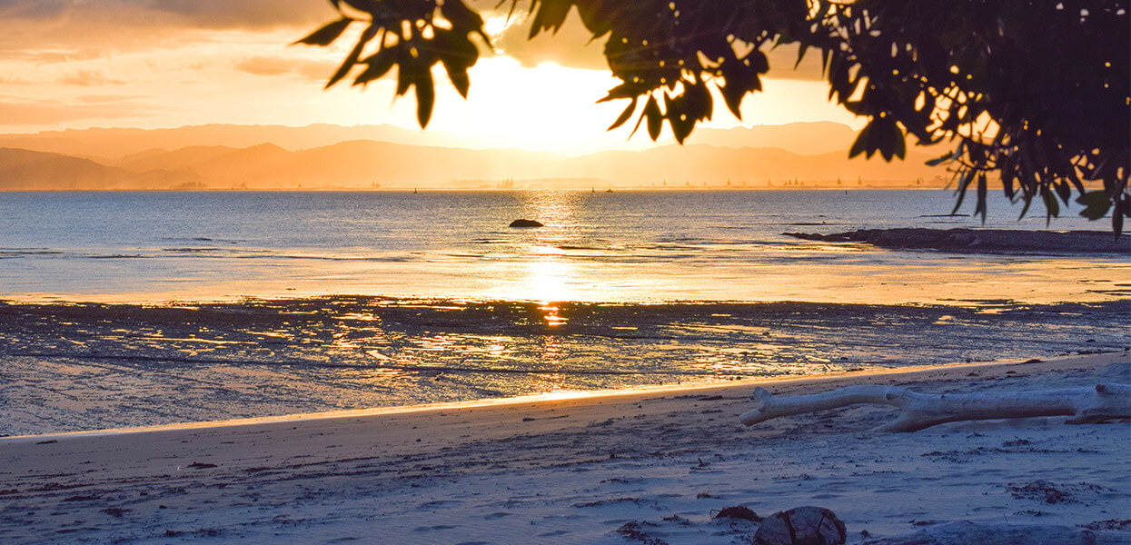 See the Sun Rise on Wainui Beach 