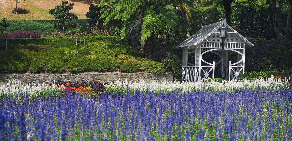 Wellington Botanic Garden