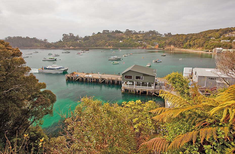 Stewart Island Escape