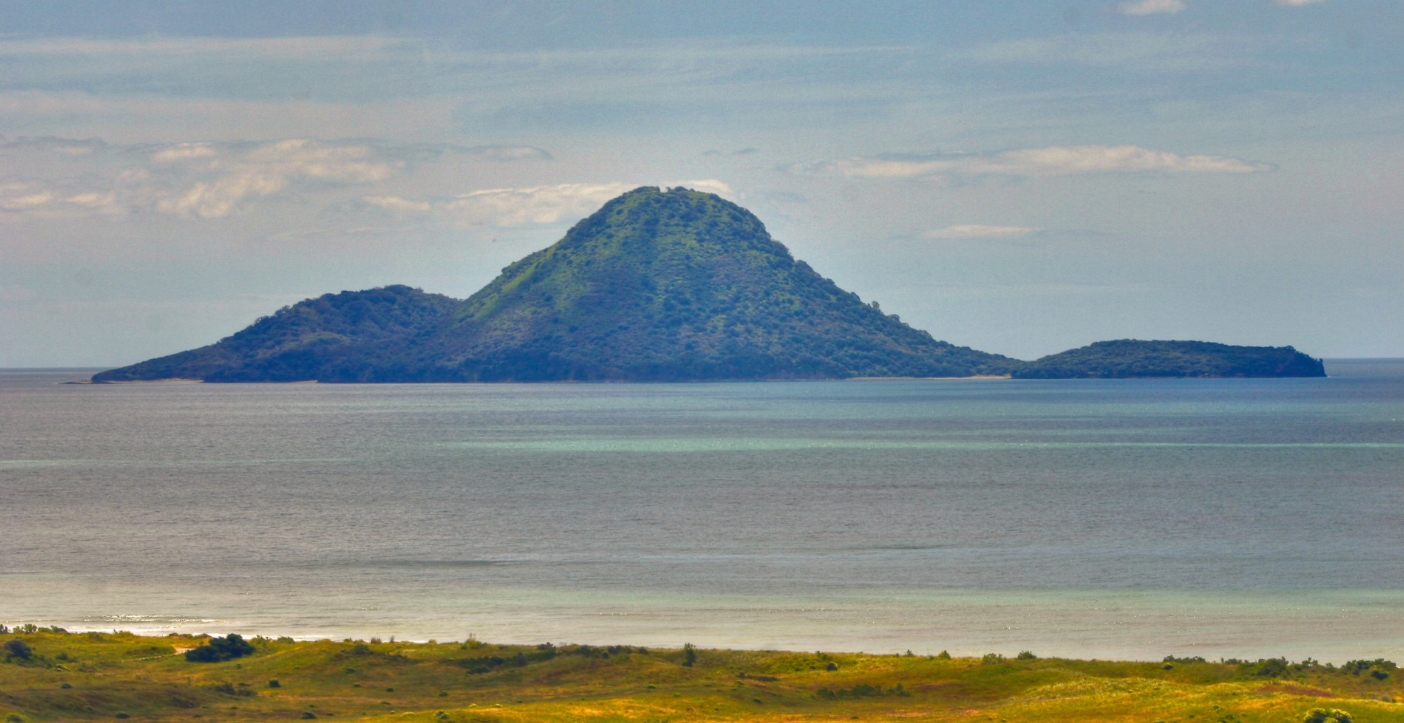 Moutohorā Island beach